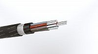 Кабель АКВВГЭнг 10х6